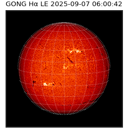gong - 2025-09-07T06:00:42