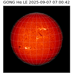 gong - 2025-09-07T07:00:42