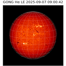 gong - 2025-09-07T09:00:42