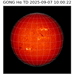 gong - 2025-09-07T10:00:22