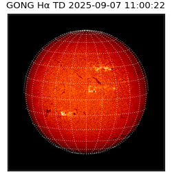 gong - 2025-09-07T11:00:22