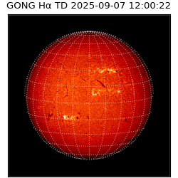 gong - 2025-09-07T12:00:22