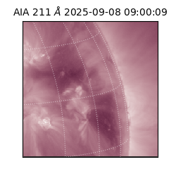 saia - 2025-09-08T09:00:09.626000