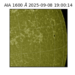 saia - 2025-09-08T19:00:14.125000