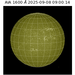 saia - 2025-09-08T09:00:14.126000