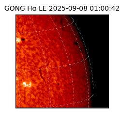 gong - 2025-09-08T01:00:42