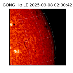 gong - 2025-09-08T02:00:42