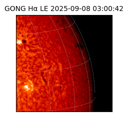 gong - 2025-09-08T03:00:42