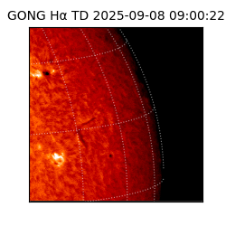 gong - 2025-09-08T09:00:22