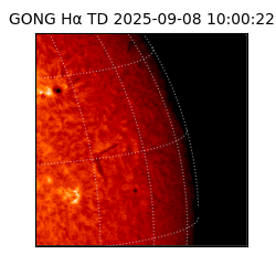 gong - 2025-09-08T10:00:22