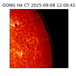 gong - 2025-09-08T12:00:42