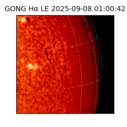 gong - 2025-09-08T01:00:42