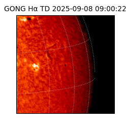gong - 2025-09-08T09:00:22
