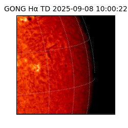 gong - 2025-09-08T10:00:22