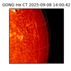 gong - 2025-09-08T14:00:42