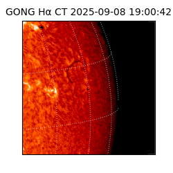 gong - 2025-09-08T19:00:42