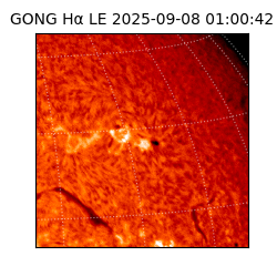 gong - 2025-09-08T01:00:42