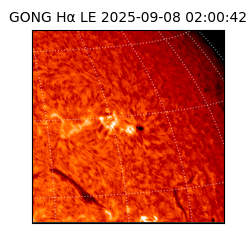 gong - 2025-09-08T02:00:42