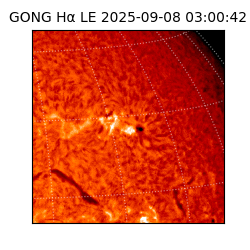 gong - 2025-09-08T03:00:42