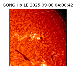 gong - 2025-09-08T04:00:42