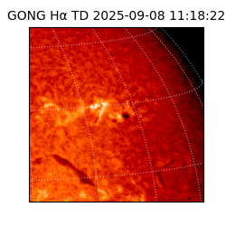 gong - 2025-09-08T11:18:22