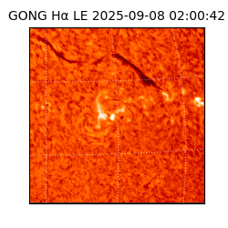 gong - 2025-09-08T02:00:42