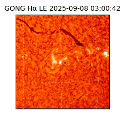 gong - 2025-09-08T03:00:42