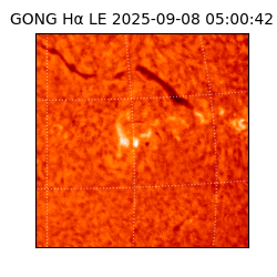 gong - 2025-09-08T05:00:42