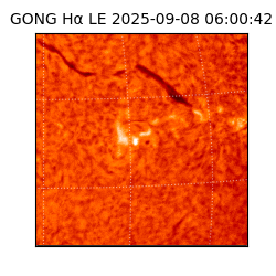 gong - 2025-09-08T06:00:42