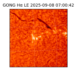 gong - 2025-09-08T07:00:42