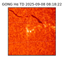 gong - 2025-09-08T08:18:22