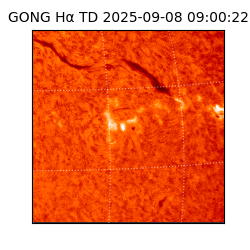 gong - 2025-09-08T09:00:22