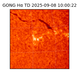 gong - 2025-09-08T10:00:22