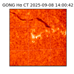 gong - 2025-09-08T14:00:42