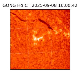 gong - 2025-09-08T16:00:42