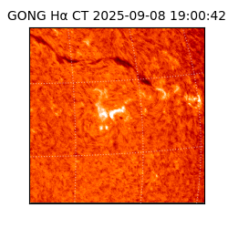 gong - 2025-09-08T19:00:42