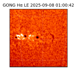 gong - 2025-09-08T01:00:42