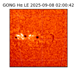 gong - 2025-09-08T02:00:42