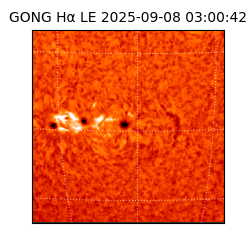 gong - 2025-09-08T03:00:42