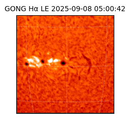 gong - 2025-09-08T05:00:42