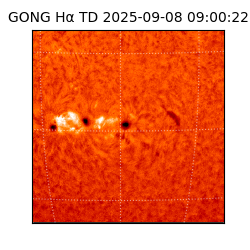 gong - 2025-09-08T09:00:22