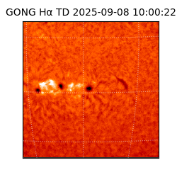 gong - 2025-09-08T10:00:22