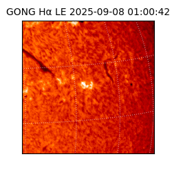 gong - 2025-09-08T01:00:42