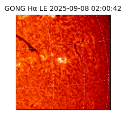 gong - 2025-09-08T02:00:42