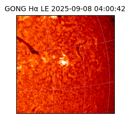 gong - 2025-09-08T04:00:42