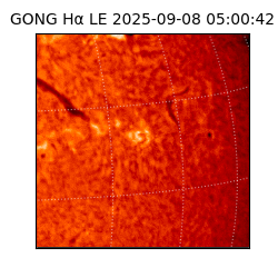 gong - 2025-09-08T05:00:42