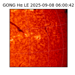 gong - 2025-09-08T06:00:42