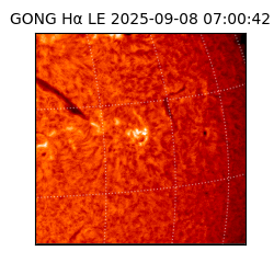 gong - 2025-09-08T07:00:42