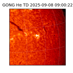 gong - 2025-09-08T09:00:22