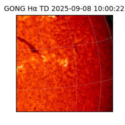 gong - 2025-09-08T10:00:22